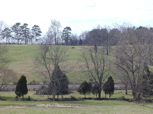 TN scenery