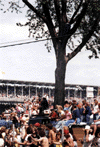 1979