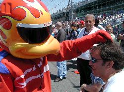 bird combing my hair