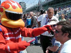 bird combing my hair